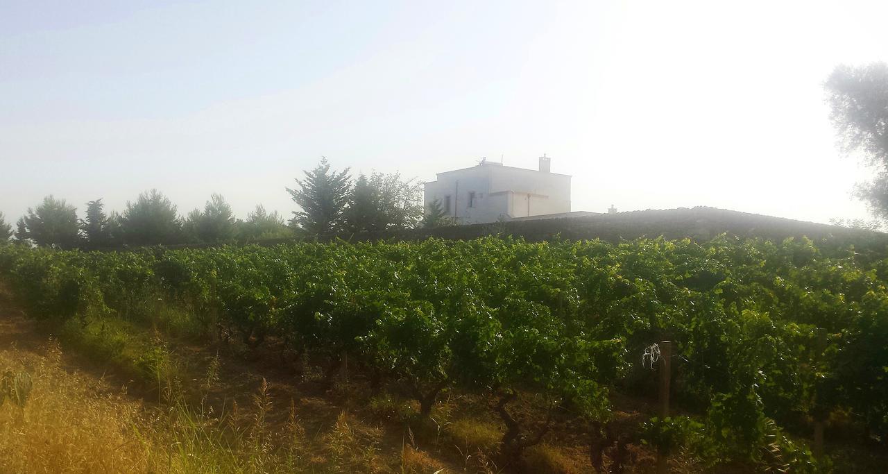 Antica Masseria Torre Mozza Torre Santa Susanna Luaran gambar