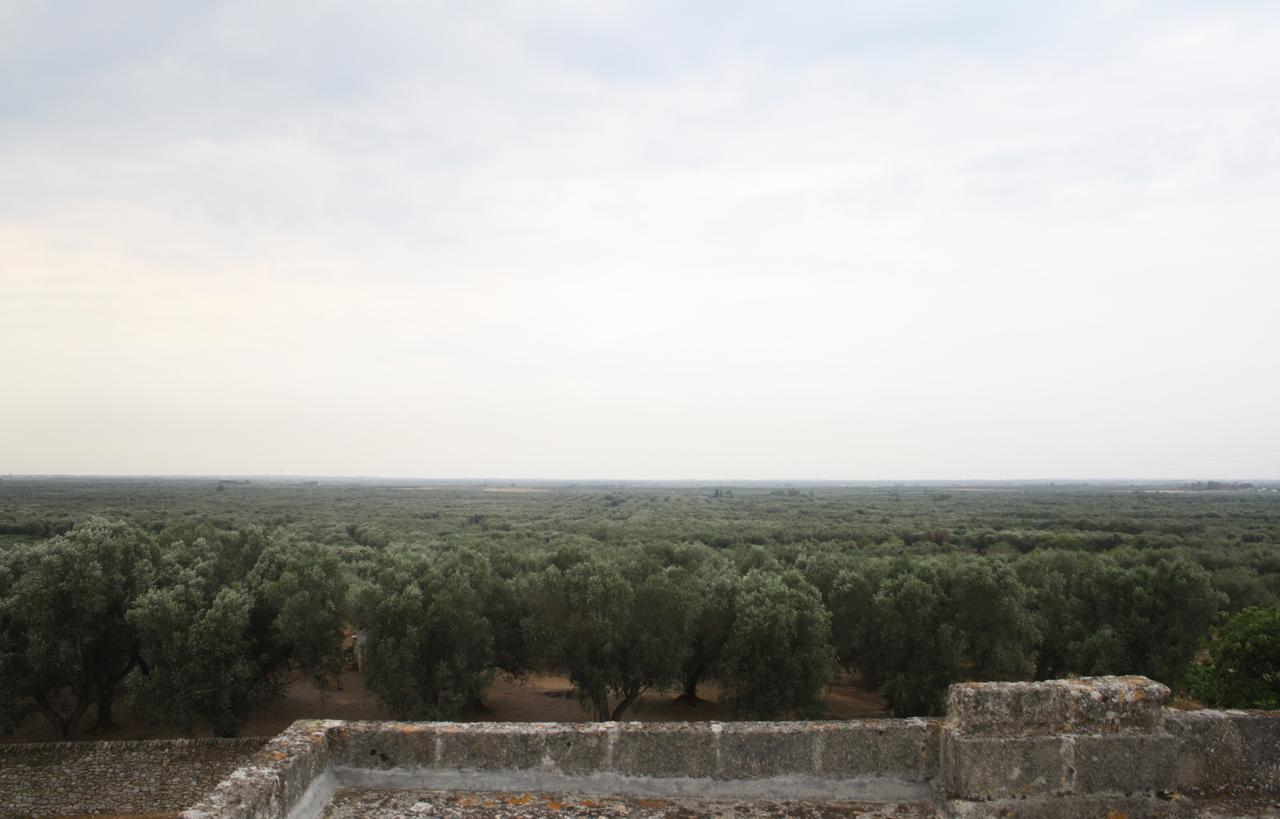 Antica Masseria Torre Mozza Torre Santa Susanna Luaran gambar